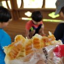 세포마을 경로당 이미지