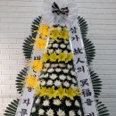을지대학병원꽃집 이미지