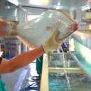 통영자연회타운 | 통영 맛집 추천｜겨울에도 신선한 회 한상! 바다 보며 즐기는 통영 자연 회타운