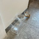 페츠베리머치 카페 이미지