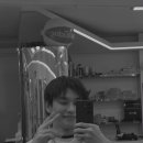 팀로드