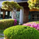 바다꽃게탕본점 이미지