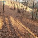 남구-161 이미지