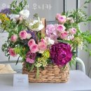 우니코앤우니카 이미지