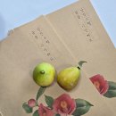 서천침선장 이미지