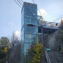 서울하늘숲유치원 | 서울 가을 단풍명소-남산 하늘숲길 개장 후기