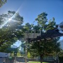 스카이코리아 이미지