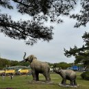 연천구석기축제 바베큐/주차장 후기
