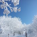 제146차(2월10일) 충북 단양 소백산 정기산행 이미지