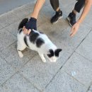 삼성부광세탁소 | [July] 여미새