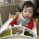 이모밥줘 | (186일~190일)2025년 마지막과 2026년 새해/꺼비첫째이모네/울엄마네/광교 아쿠이플라넷 후기