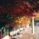 득량중학교 이미지