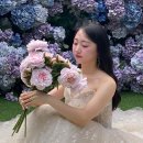[Wed04] 포에버마인 안나 스튜디오 웨딩촬영 솔직 촬영 후기