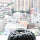 재열농장 네이버블로그