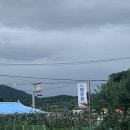 유구매운탕 이미지