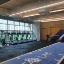 벵가스테이 이미지