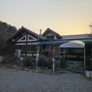 장어독립 | 가평) 가평 설악본점 장어독립 방문 후기 (장어전골 가평맛집)