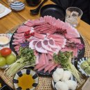 포항 오천 문덕 가성비 참치 맛집 찐후기 | 우리동네참치정육점 포항문덕본점