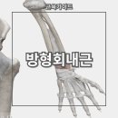 내근 이미지