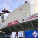 톨톨 | [잠실 야구장] LG twins 2025 통합우승 세리머니 직관 후기