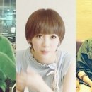 예쁜머리 이미지