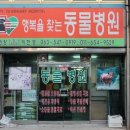 행복을찾는동물병원 이미지