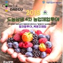 체리투어 이미지