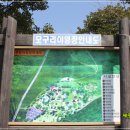 모구리야영장(가족영지) 이미지