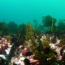 동해환경 이미지