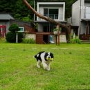 더큐브펜션 이미지