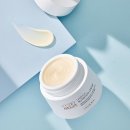 (주)마이폴리머 | 애터미 앱솔루트 셀랙티브 영양크림 후기 및 효과 분석