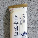 사진찍고 아이스크림먹고