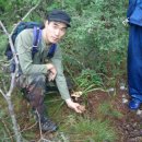 신비한 약초세상 | sy1000 활성수와 신비한 약초 세상 카페