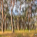 행복한 나들이 이미지