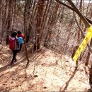 (주) 자연의 모든것