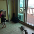 티파니펜션민박 이미지