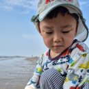 소노벨 변산 이미지