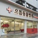 으뜸동물병원 이미지