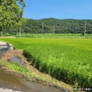 보성읍사무소앞 이미지