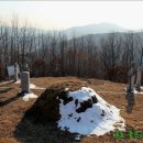 유장 양헌수묘 이미지