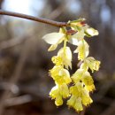 호계천변 이미지