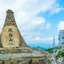 태백종합관광안내소 이미지