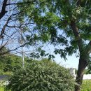 윤슬농장 이미지