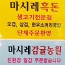 마시레흑돈