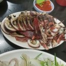 청송산오징어 Daum카페