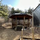 통일연구원 노동조합 | 넘치는 새해 햇살이 머물던 곳, 진천 봉화산_20250101