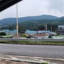 고향송어닭집 이미지