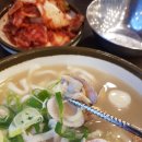 일산칼국수 | 또간집 일산편 맛집 일산칼국수 본점 내돈내산 솔직 후기