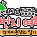 꿈의숲동물병원 이미지