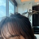 프레스그레이스 | 야당미용실 숨헤어그레이스점 베이 디자이너님께 받은 매직전문 리뷰!